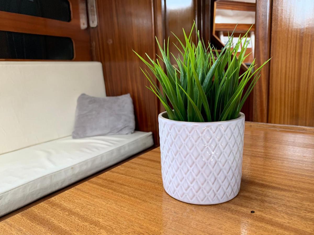 בדלונה Espacioso Velero Junto A La Playa Bcn מראה חיצוני תמונה